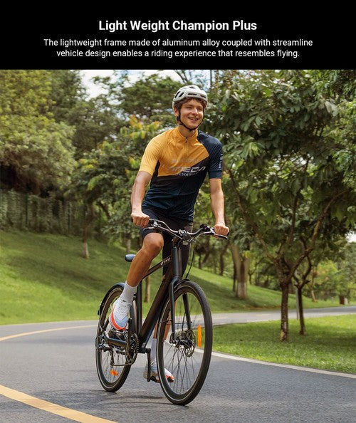 DYU pastaiga 1 elektriskais velosipēds 250 W 100 km DYU pastaiga 1 elektriskais velosipēds 250 W 100 km